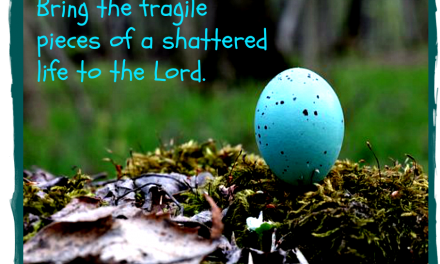 The Breaking of a Robin’s Egg and Hope Secured