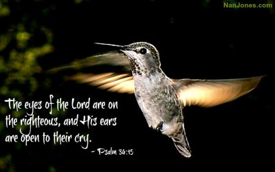 Finding God’s Presence ~ When Tiny Black Globes Stare Directly Into Mine
