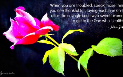 Finding God’s Presence ~ A Blaring Alarm, A Cardinal’s Morning Song, and A Groan