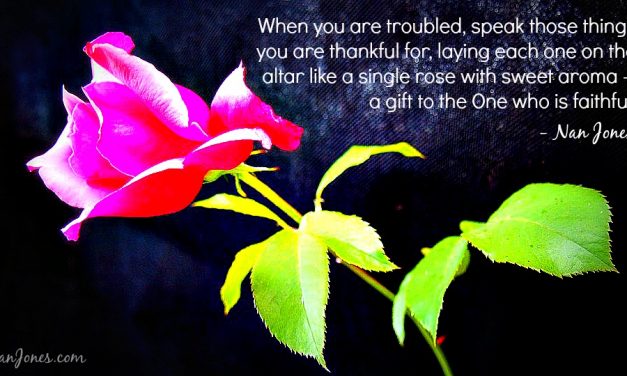 Finding God’s Presence ~ A Blaring Alarm, A Cardinal’s Morning Song, and A Groan