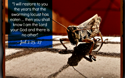 Finding God’s Presence ~ In a Locust? Seriously?