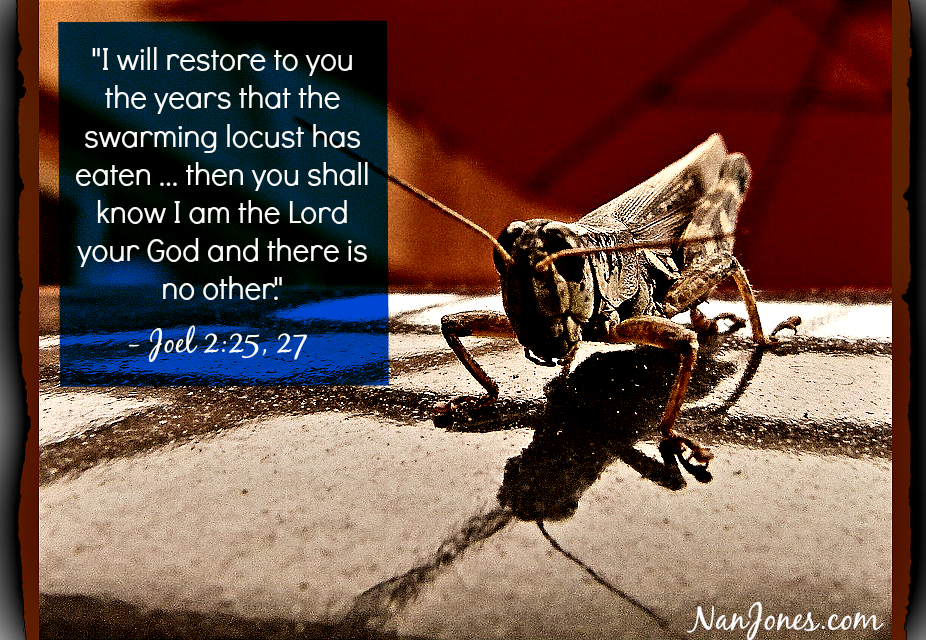 Finding God’s Presence ~ In a Locust? Seriously?