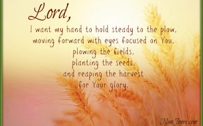 Finding God’s Presence ~ A Prayer for Strength to Keep My Hand to the Plow