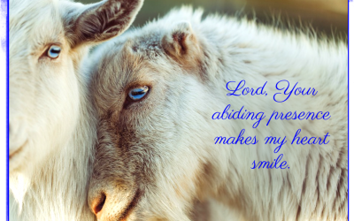 Finding God’s Presence ~ A Prayer When You Could Use a Smile
