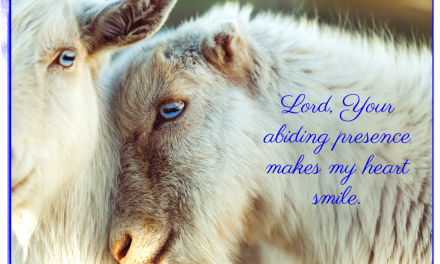 Finding God’s Presence ~ A Prayer When You Could Use a Smile