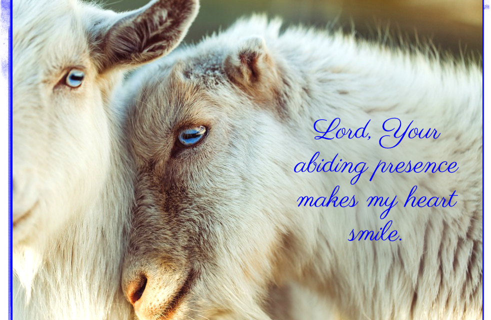 Finding God’s Presence ~ A Prayer When You Could Use a Smile