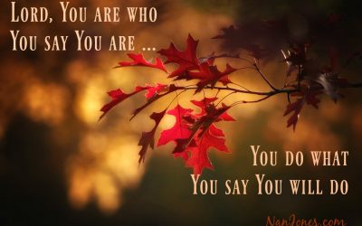 Finding God’s Presence ~ A Prayer When You Need a Shield