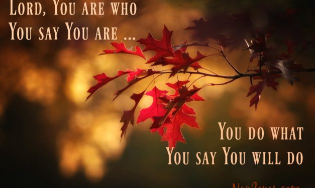Finding God’s Presence ~ A Prayer When You Need a Shield