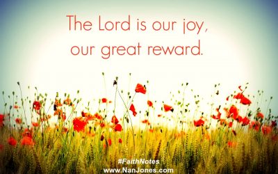 Faith Notes ~ Nan Jones: Hard Lessons of Finding Joy in My Wilderness