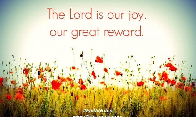 Faith Notes ~ Nan Jones: Hard Lessons of Finding Joy in My Wilderness