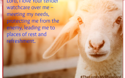 A Prayer to Face the Days Ahead as Our Shepherd Leads Us