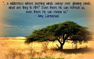 Finding God’s Presence ~ Wilderness. A Place of Difficulty or Peace?