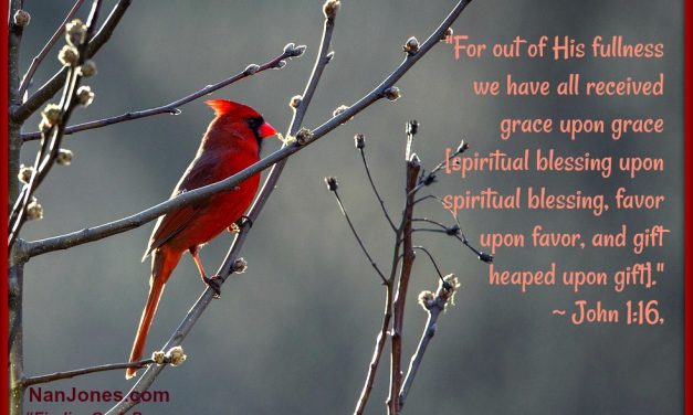 Finding God’s Presence ~ In the Dim Light of Winter Sadness Lies Abundant Grace