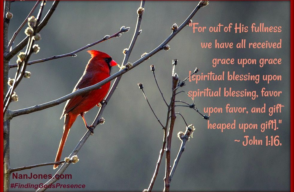 Finding God’s Presence ~ In the Dim Light of Winter Sadness Lies Abundant Grace