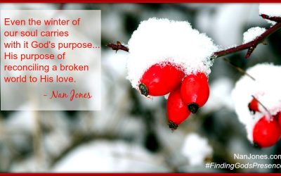 Finding God’s Presence ~ In the Middle of a Thicket, Rose Hips Grew