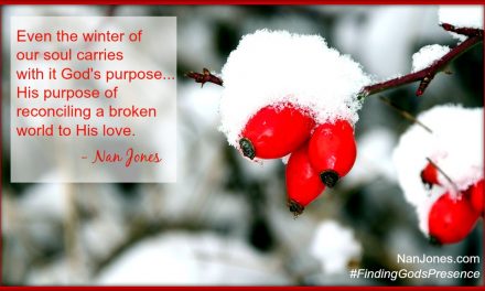 Finding God’s Presence ~ In the Middle of a Thicket, Rose Hips Grew