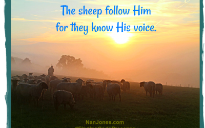 Finding God’s Presence ~ Are You Questioning the Shepherd’s Voice?