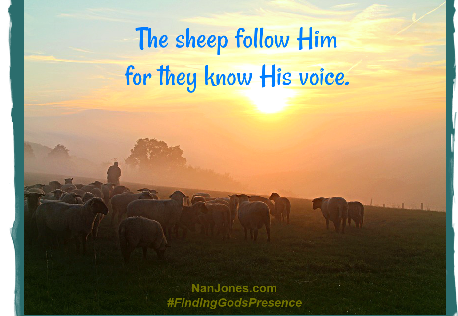 Finding God’s Presence ~ Are You Questioning the Shepherd’s Voice?