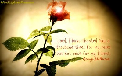 Finding God’s Presence ~ Have You Thanked God For The Thorns? Me, Either! ‘Til Now