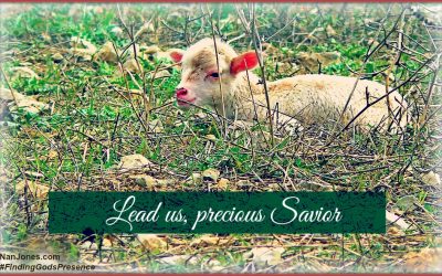 A Prayer For the Grace of God When We Need It