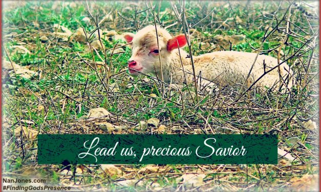 A Prayer For the Grace of God When We Need It