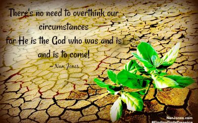 Quietly Following the Shepherd, One Step At a Time