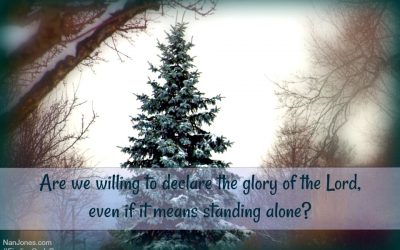 The Parable of One Solitary Tree