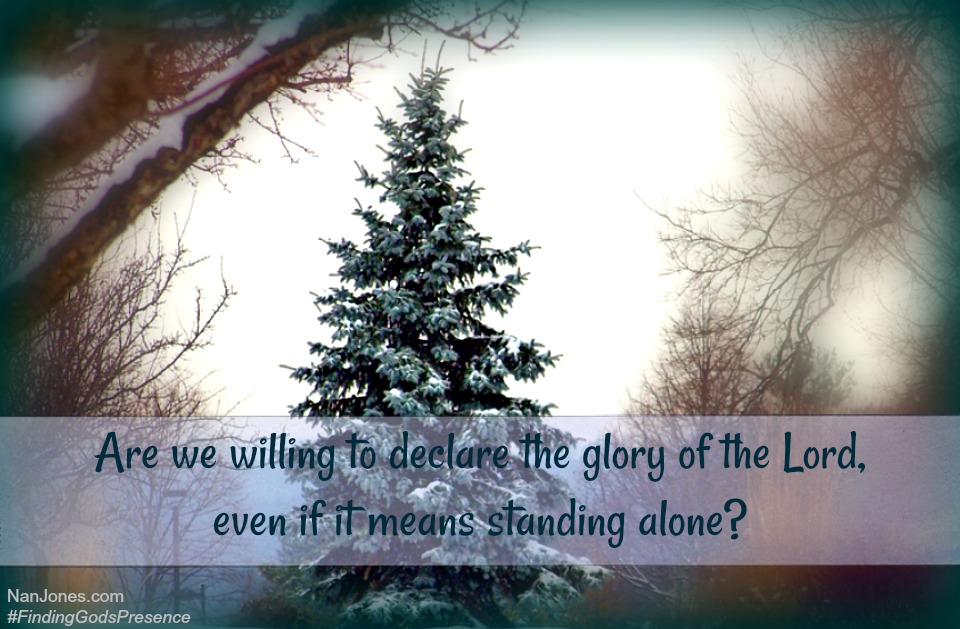 The Parable of One Solitary Tree