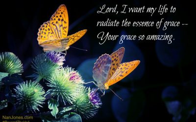 Remembering the Essence of Grace