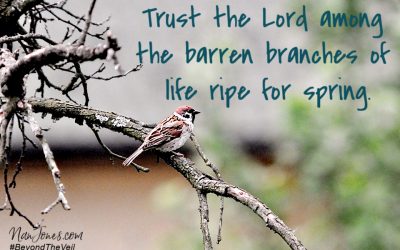 When God Met Me on Barren Branches Ripe for Spring
