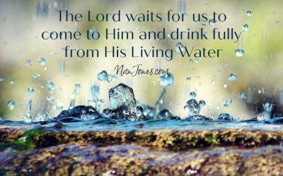 When Your Mind and Heart Languish Numb and God Steps In