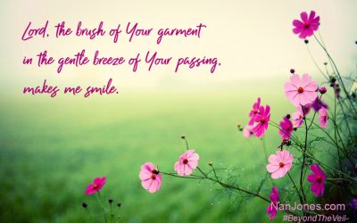 A Prayer For a Sure Place Among Insecurities