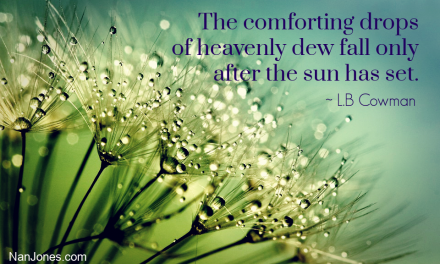 Morning Dew Refreshes the Earth Like  Grace Upon a Thirsty Soul