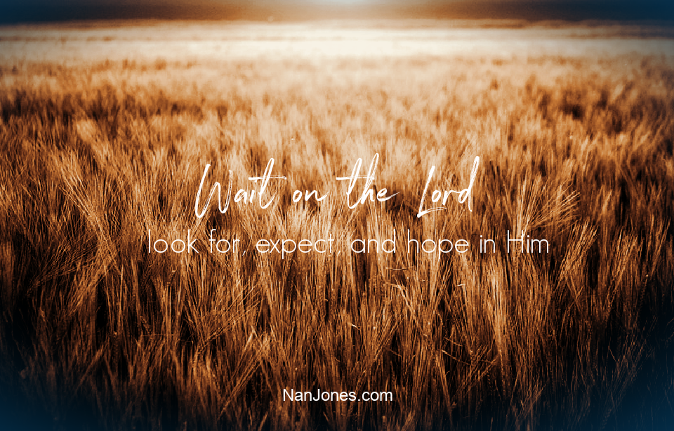 Out of the whirlwind, God spoke to Job. He spoke to me too.