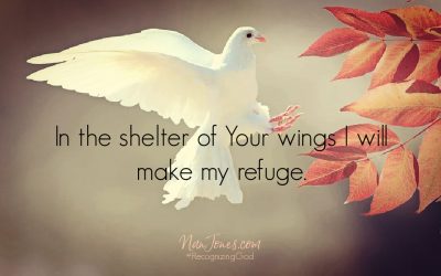 Prayer: Hiding in the Shadow of His Wings, but Needing Mercy