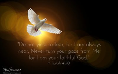 Prayer When Your Wings of Eagles Won’t Flap