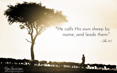be Like a Sheep When You’re Acting Like a Mule ~ A Prayer