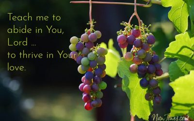 You’re the Vine Lord, But My Branch is Gummed Up ~ Prayer