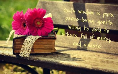 I’m Asking for Wisdom Lord, but I Can’t Hear a Thing