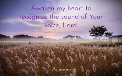 Open My Ears Lord. I Can’t Hear Because of the Noise