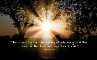 Crackling Sound of Leaves. Were The Trees Clapping?
