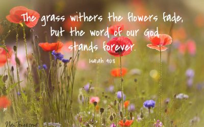Even the Grasses Dance in the Presence of the Lord