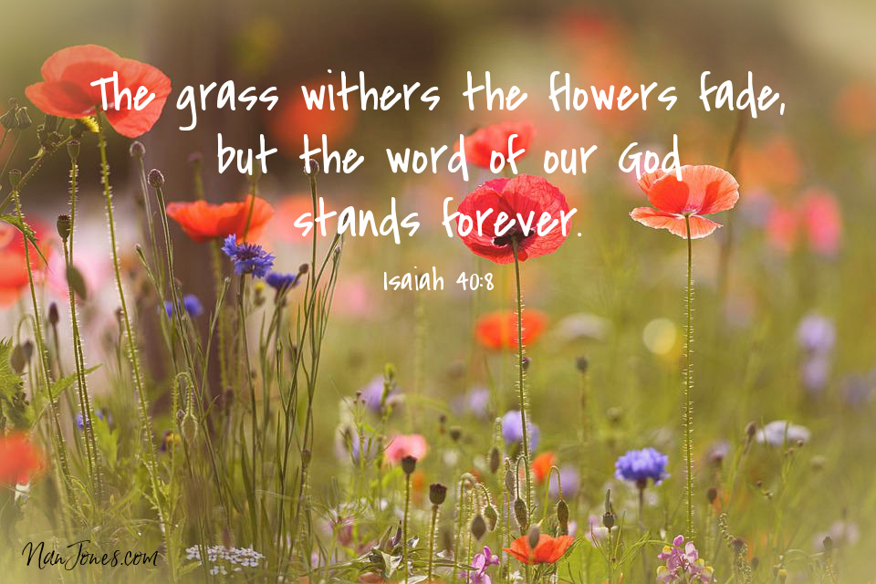 Even the Grasses Dance in the Presence of the Lord