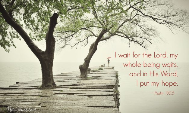 Rushing Spring  Before Its Appointed Time