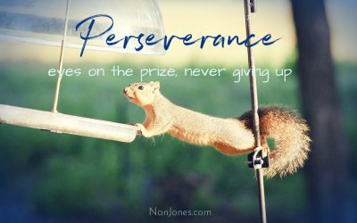 An Ocean of Deep Thoughts and a Persevering Squirrel