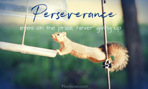 An Ocean of Deep Thoughts and a Persevering Squirrel