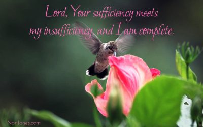 Help Me Walk in the Sufficiency of  Your Grace, Lord