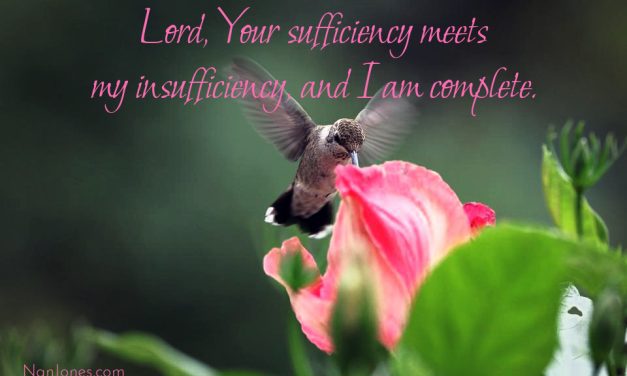 Help Me Walk in the Sufficiency of  Your Grace, Lord