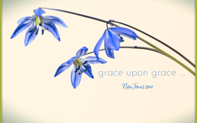 Seeking Peace Among Patches of Glory and Grace