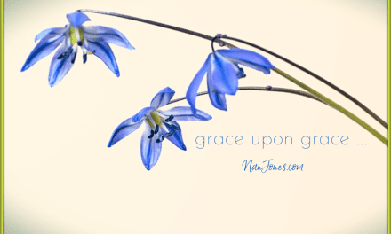 Seeking Peace Among Patches of Glory and Grace
